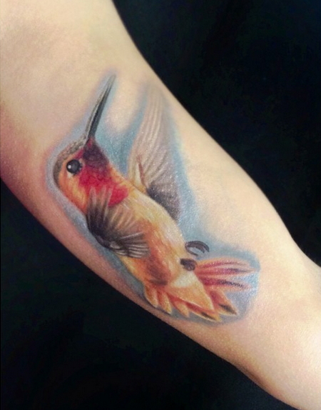 Hummingbird Design Thumbnail